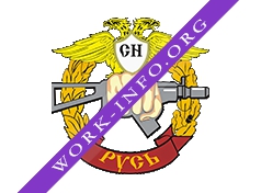 Логотип компании Холдинг структур безопасности РУСЬ