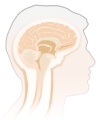 Невромед Логотип(logo)