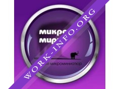 Музей микроминиатюр Микромиры Логотип(logo)