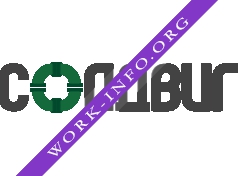Солдвиг Логотип(logo)