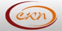 СтройКиевПерспектива Логотип(logo)