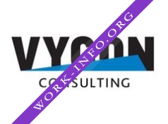 VYGON Consulting Логотип(logo)