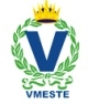 ВМЕСТЕ Логотип(logo)
