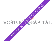 Логотип компании Vostock Capital