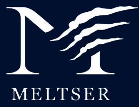 Логотип компании MELTSER