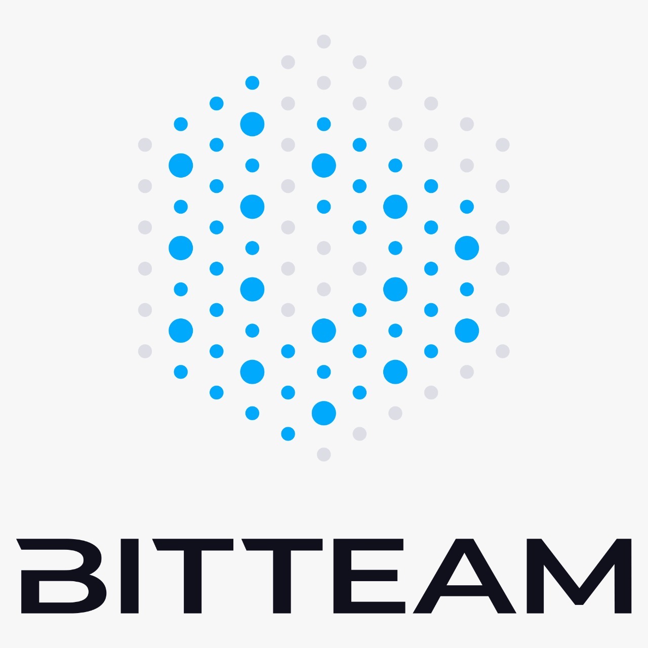 Логотип компании BIT.TEAM