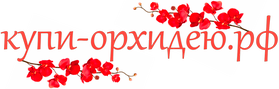 Логотип компании Купи-орхидею.рф