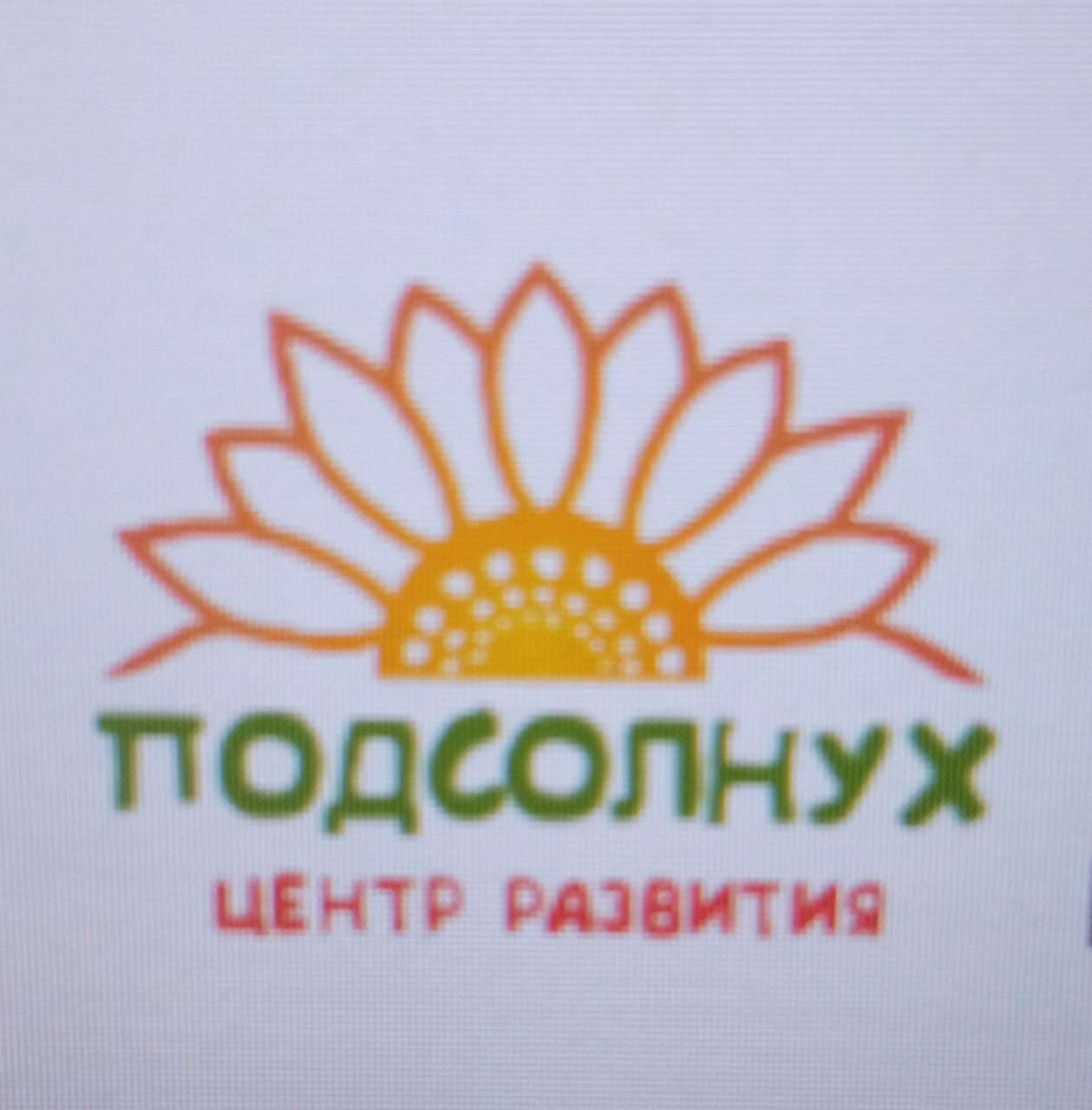 Центр развития Подсолнух Логотип(logo)